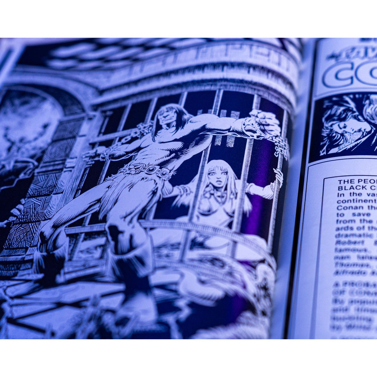 The Savage Sword of Conan: The Original Comics Omnibus Vol.2