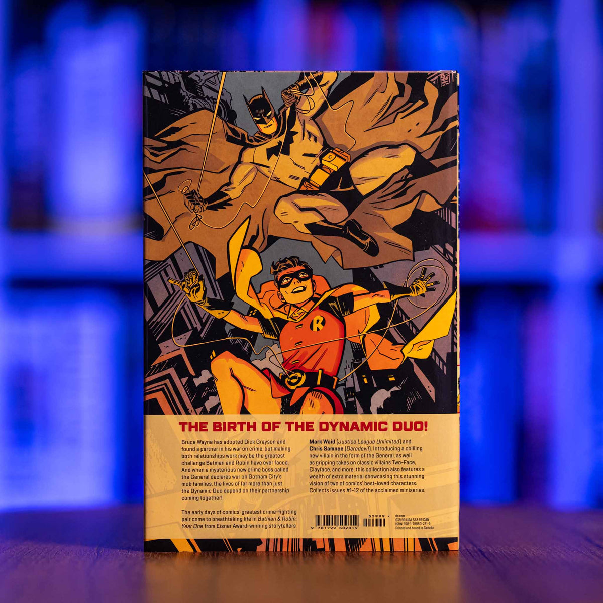 BATMAN & ROBIN: YEAR ONE