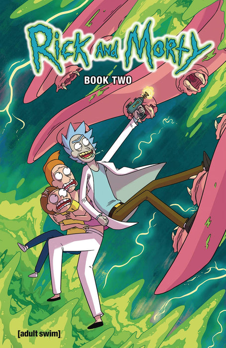 RICK AND MORTY HC BOOK 02 DLX ED